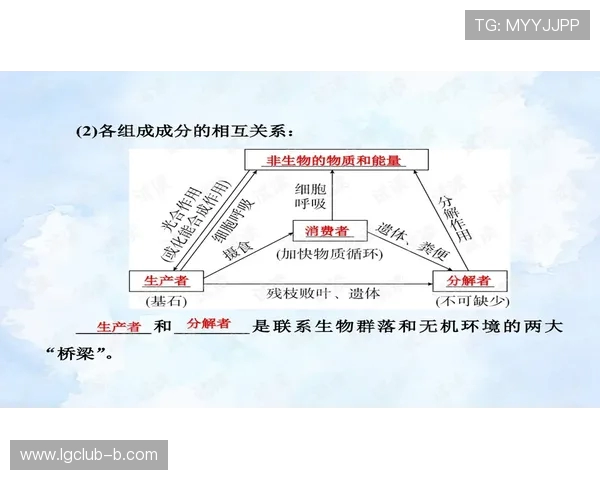 游戏教学在高中体育课堂中的基本结构与实施策略分析